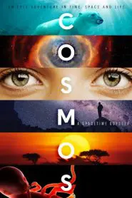Cosmos: A Spacetime Odyssey