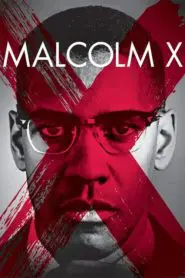 Malcolm X (1992) Türkçe Dublaj izle