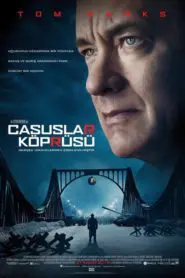 Casuslar Köprüsü (2015) Türkçe Dublaj izle