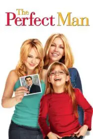 Bay Mükemmel (2005) Türkçe Dublaj izle
