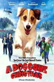 Muhteşem Köpek (2016) Türkçe Dublaj izle
