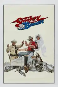 Çılgın (1977) Türkçe Dublaj izle