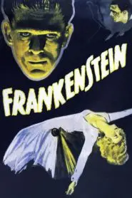 Frankeştayn (1931) Türkçe Dublaj izle