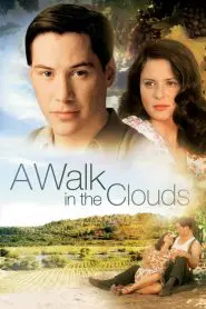 Bulutların Ötesinde (1995) Türkçe Dublaj izle
