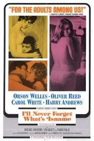 Milyoner Serseri (1967) Türkçe Dublaj izle