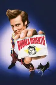 Budala Dedektif (1994) izle