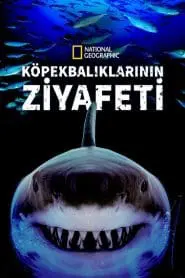 Köpekbalıklarının Ziyafeti (2019) Türkçe Dublaj izle