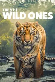 The Wild Ones 2025