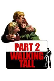 Kanunsuz Yol (1975) Türkçe Dublaj izle