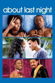Tek Gecelik Aşk (2014) Türkçe Dublaj izle