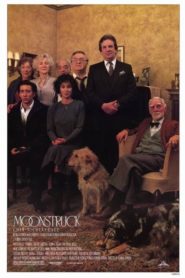 Ay Çarpması (1987) Türkçe Dublaj izle