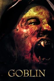 Vahşi Cin (2010) Türkçe Dublaj izle
