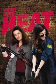 Ateşli Aynasızlar (2013) Türkçe Dublaj izle