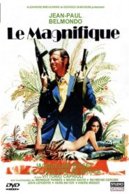 Şahane Serseri (1973) Türkçe Dublaj izle