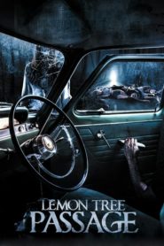 Vahşet Geçidi (2014) Türkçe Dublaj izle