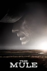 Kaçakçı (2018) izle