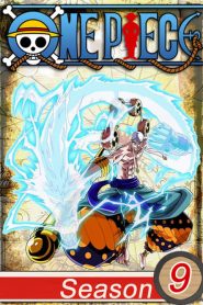 One Piece 9. Sezon (Anime)