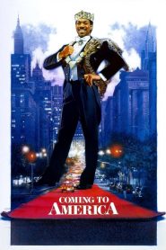 Amerika Rüyası (1988) Türkçe Dublaj izle