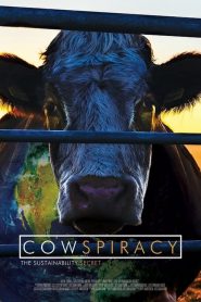 Sürdürülebilirliğin Sırrı (2014) Türkçe Dublaj izle