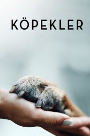 Dogs (Türkçe Dublaj)
