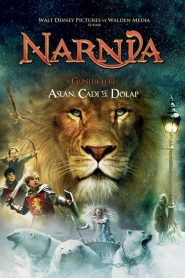 Narnia Günlükleri 1: Aslan, Cadı ve Dolap (2005) Türkçe Dublaj izle
