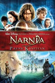 Narnia Günlükleri 2: Prens Kaspiyan (2008) Türkçe Dublaj izle