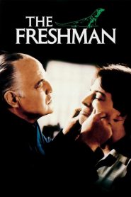 Akıl Hocası (1990) Türkçe Dublaj izle