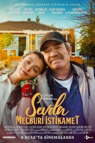 Sevda Mecburi İstikamet (2023) Yerli Film izle
