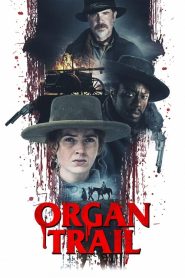 Organ Yolu (2023) Türkçe Dublaj izle