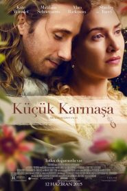 Küçük Karmaşa (2015) Türkçe Dublaj izle