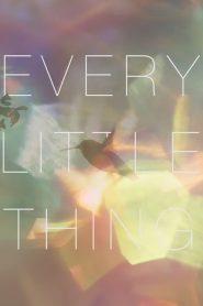 Every Little Thing (2025) Türkçe Dublaj izle