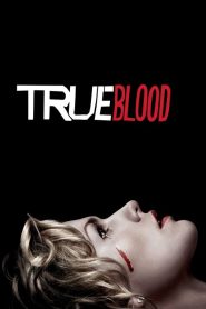 True Blood (Türkçe Dublaj)