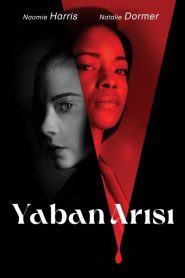 Yaban Arısı (2024) Türkçe Dublaj izle