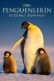 Secrets of the Penguins (Türkçe Dublaj)