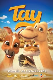 Tay (2022) Yerli Film izle