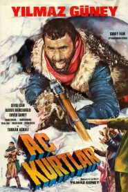 Aç Kurtlar (1969) Yerli Film izle