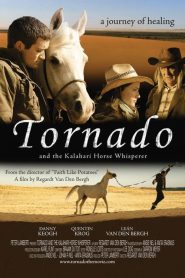 Tornado ve Atlara Fısıldayan Adam (2009) Türkçe Dublaj izle