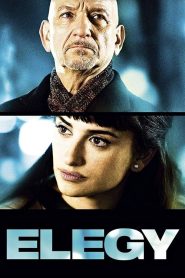Aşkın Peşinde (2008) Türkçe Dublaj izle