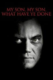 Benim Güzel Oğlum, Ne Yaptın Sen? (2010) Türkçe Dublaj izle
