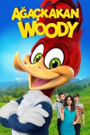 Ağaçkakan Woody (2017) Türkçe Dublaj izle