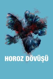 Horoz Dövüşü (2022) Yerli Film izle