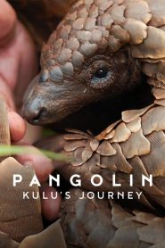 Pangolin: Kulu’nun Yolculuğu (2025) Türkçe Dublaj izle