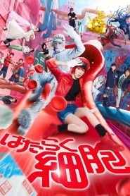 Hataraku saibou (2024) izle