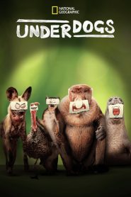 Underdogs (Türkçe Dublaj)
