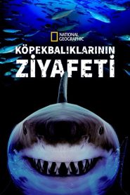 Köpekbalıklarının Ziyafeti (2019) Türkçe Dublaj izle