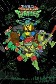 Tales of the Teenage Mutant Ninja Turtles (Türkçe Dublaj)