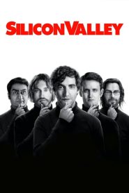 Silicon Valley (Türkçe Dublaj)