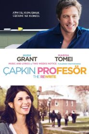 Çapkın Profesör (2014) Türkçe Dublaj izle