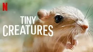 Tiny Creatures 1. Sezon 6. Bölüm izle