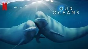 Our Oceans 1. Sezon 5. Bölüm izle